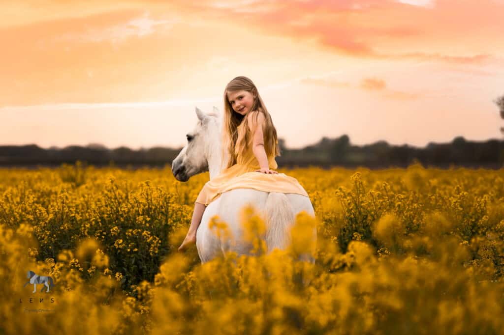 Equestrian Photography