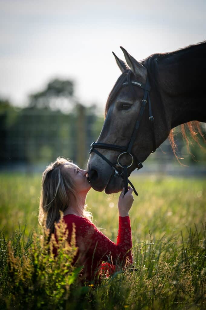 Equestrian Photography
