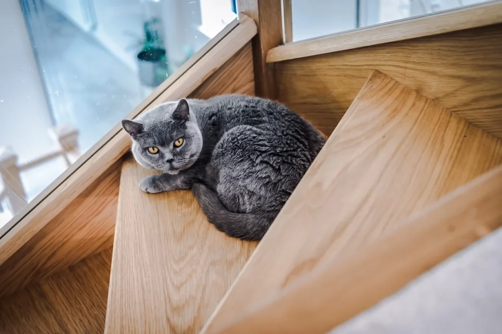 Property Detailed Photography 7