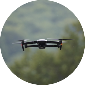 Lens Media Services (1)