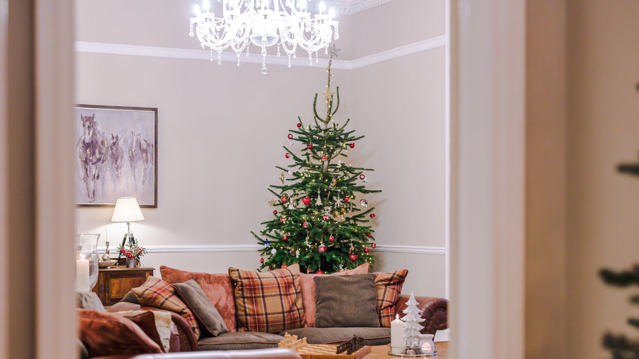 Christmas Decorations - Property Photography Lens Media